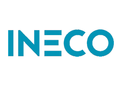 Logo INECO